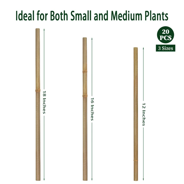 Alt view image 6 of 6 - Plant Stakes,18IN Natural Garden Bamboo Sticks, 20Pcs Plant Support Stakes | with 20Pcs Green Ties, Bamboo Sticks for Plants,Garden Stakes for Plants,Tomatoes, Beans, Vegetable and Potted Plants
