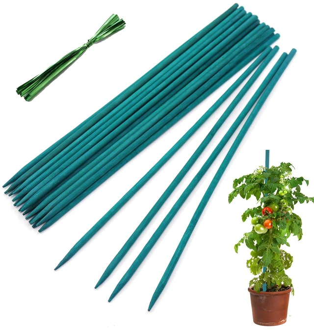 Main image of Plant Stakes 25Pcs,18IN Green Bamboo Sticks With25 Green Ties,Orchid Sticks | Sturdy Garden Stakes for Plants, Floral Plant Support Stakes, Bamboo Sticks for Plants,Potted Plant