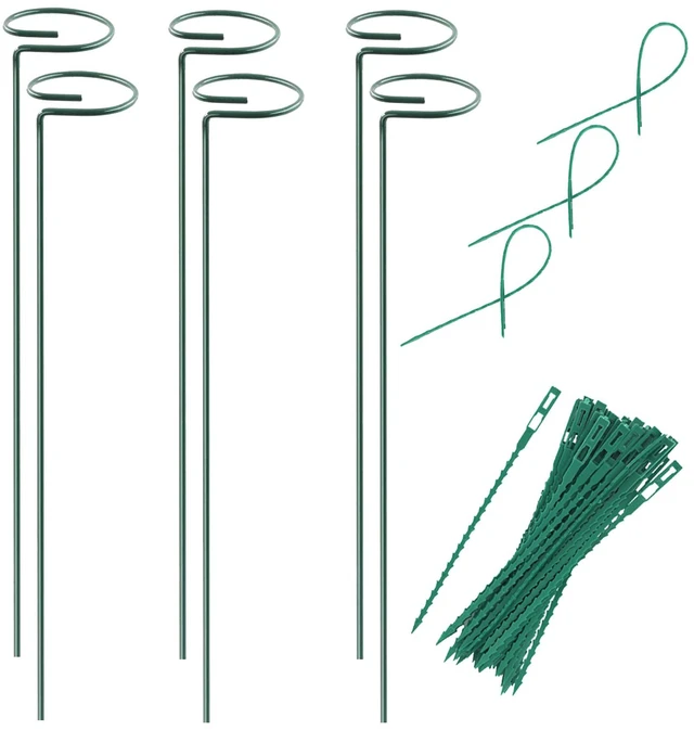 Main image of Plant Stake Support - 6 Pack, Garden Single Stem Support Stake 15.9 inch | Plant Cage Support Rings, Single Stem Plant Support Stakes, Plant Twist Ties, for Flowers Amaryllis Tomatoes Peony Lily Rose