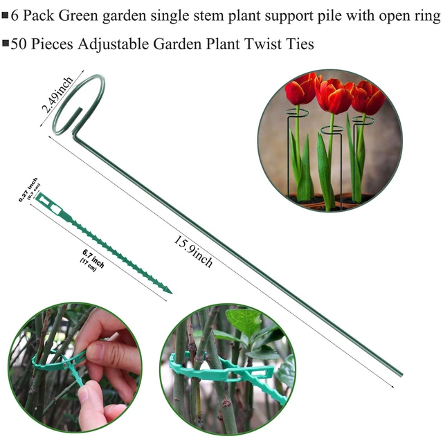 Alt view image 2 of 7 - Plant Stake Support - 6 Pack, Garden Single Stem Support Stake 15.9 inch | Plant Cage Support Rings, Single Stem Plant Support Stakes, Plant Twist Ties, for Flowers Amaryllis Tomatoes Peony Lily Rose