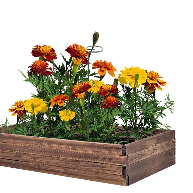 Alt view image 4 of 7 - Plant Stake Support - 6 Pack, Garden Single Stem Support Stake 15.9 inch | Plant Cage Support Rings, Single Stem Plant Support Stakes, Plant Twist Ties, for Flowers Amaryllis Tomatoes Peony Lily Rose