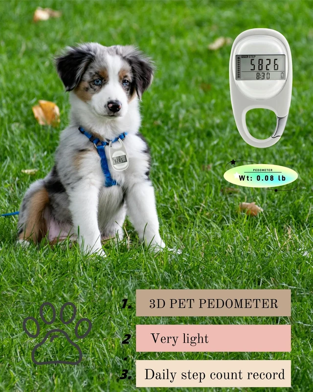 Alt view image 5 of 7 - 3D Pedometer for Walking Steps Miles, Distance Tracking, Calorie Count, and Activity Time, Step Counter Took on The Treadmil, Accurate Step Tracker with Carabiner for Men Women Seniors Pet