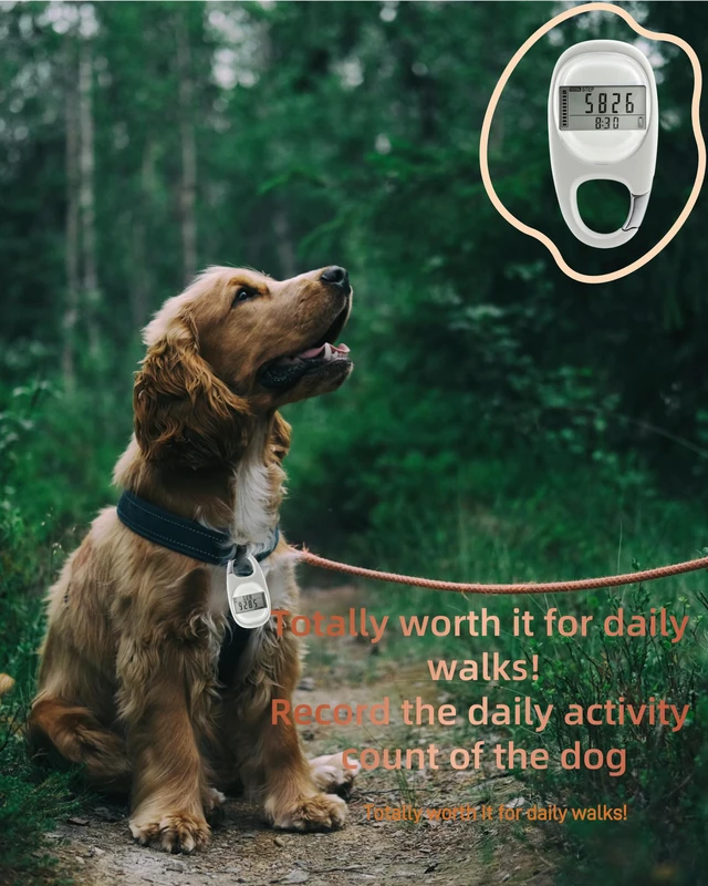Alt view image 6 of 7 - 3D Pedometer for Walking Steps Miles, Distance Tracking, Calorie Count, and Activity Time, Step Counter Took on The Treadmil, Accurate Step Tracker with Carabiner for Men Women Seniors Pet