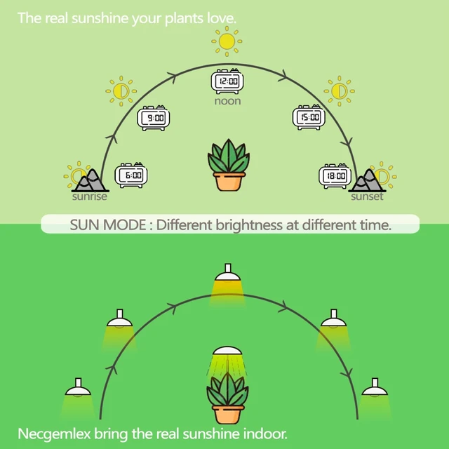 Alt view image 3 of 6 - Smart Grow Light Bulbs for Indoor Plants, Programmable Timer and Dim | Full Spectrum Plant Grow Bulbs, Dimmable, 9W, E26/27, 4500K, Remote Control, Sun Mimics Mode, Daily Auto On/Off, 2Pack