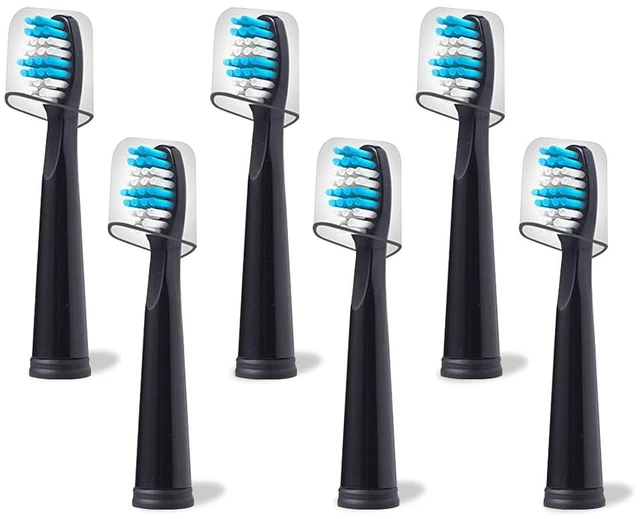 Main image of Replacement Toothbrush Heads Compatible with fairywill Electric Toothbrush, Model FW-507/FW-508/2011/959/917/551, D1/D3/D7/D8,W Shape Design Planted with Nylon Bristle (6 Pack - Black)