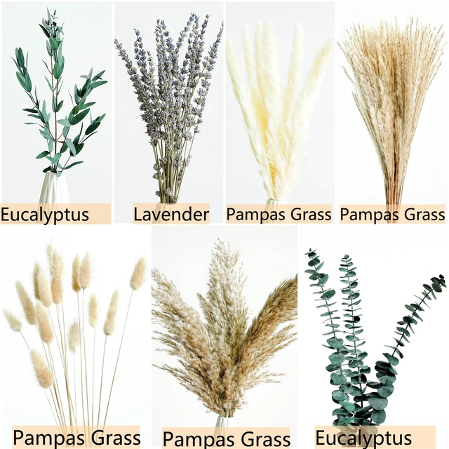 Alt view image 4 of 7 - Green Pampas Grass Dried Flower Bouquet with Lavender and Eucalyptus - Boho Decor for Home, Bedroom, Wedding Table