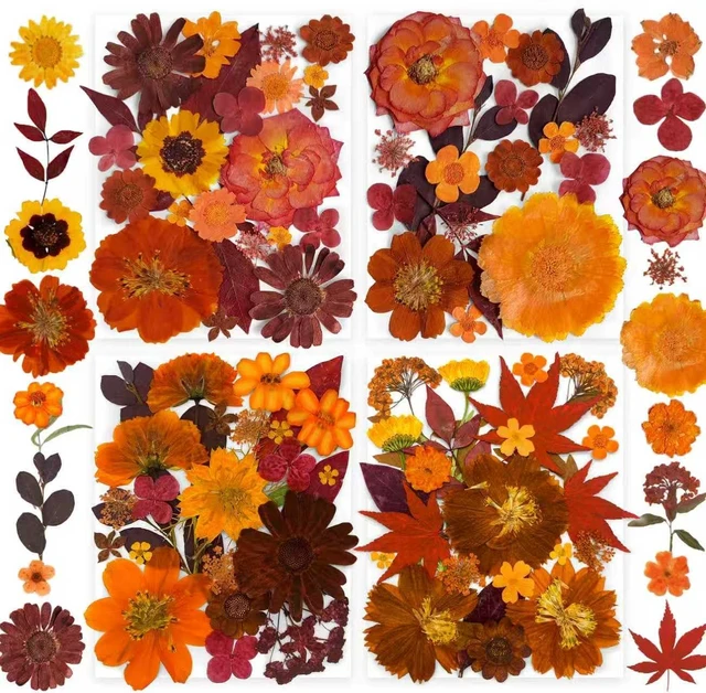 Main image of YouthBro 141PCS Brown Fall Dried Pressed Flowers & Butterfly Stickers Set for Resin, Christmas DIY Candle Soap Vase Making Nail Card Scrapbook Art Craft Floral Decors