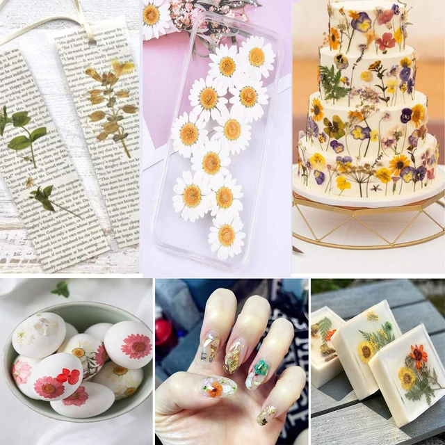 Alt view image 3 of 6 - YouthBro 141PCS Brown Fall Dried Pressed Flowers & Butterfly Stickers Set for Resin, Christmas DIY Candle Soap Vase Making Nail Card Scrapbook Art Craft Floral Decors
