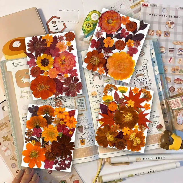 Alt view image 2 of 6 - YouthBro 141PCS Brown Fall Dried Pressed Flowers & Butterfly Stickers Set for Resin, Christmas DIY Candle Soap Vase Making Nail Card Scrapbook Art Craft Floral Decors