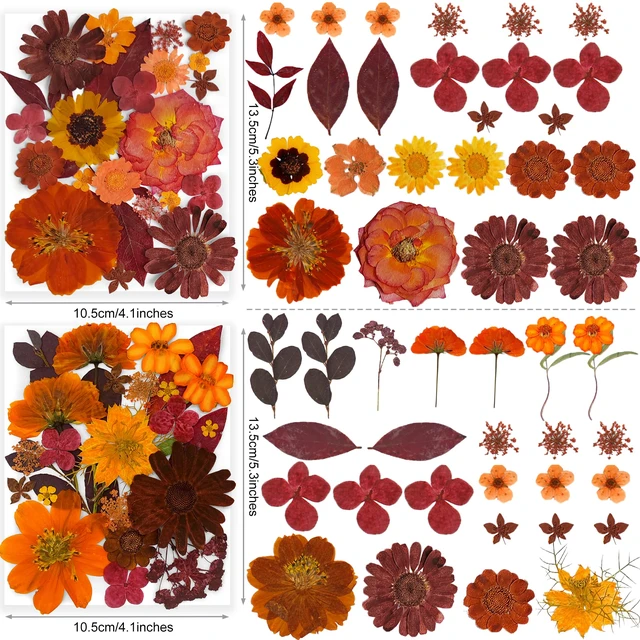 Alt view image 4 of 6 - YouthBro 141PCS Brown Fall Dried Pressed Flowers & Butterfly Stickers Set for Resin, Christmas DIY Candle Soap Vase Making Nail Card Scrapbook Art Craft Floral Decors