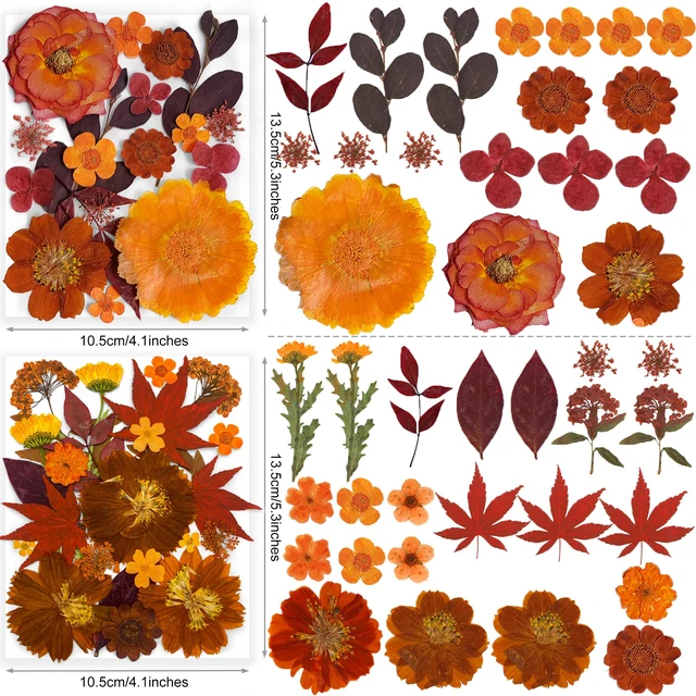 Alt view image 6 of 6 - YouthBro 141PCS Brown Fall Dried Pressed Flowers & Butterfly Stickers Set for Resin, Christmas DIY Candle Soap Vase Making Nail Card Scrapbook Art Craft Floral Decors