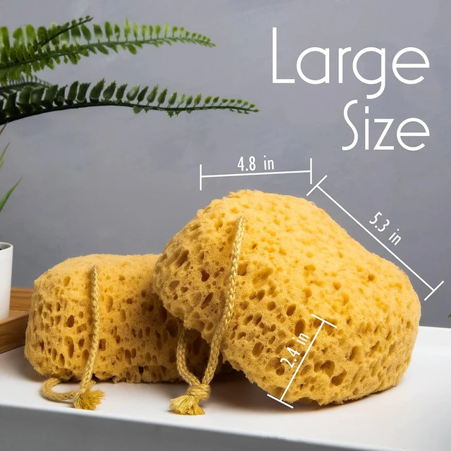Alt view image 2 of 6 - MyHomeBody Curvy Bath Sponge Foam Loofah 2 Pack