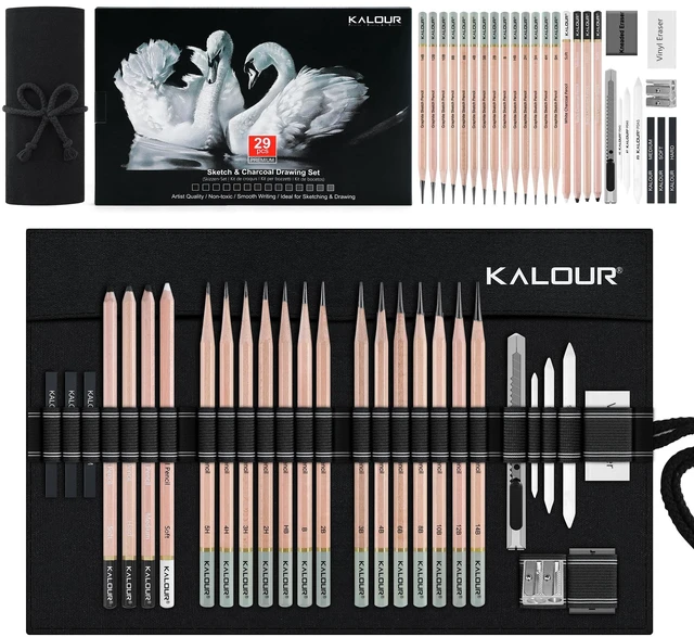 Main image of KALOUR 29 Pro Sketching Drawing Pencils Set with Roll-Up Nylon Case 14 Graphite Pencils (14B5H), Charcoal Pencils, Erasers, Sharpener & Stumps Complete Art Kit for Artists & Beginner