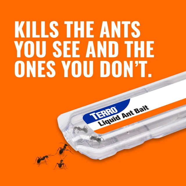 Alt view image 4 of 7 - TERRO Liquid Ant Killer Bait Stations, 12-Pack, Indoor Ant Traps, T300B
