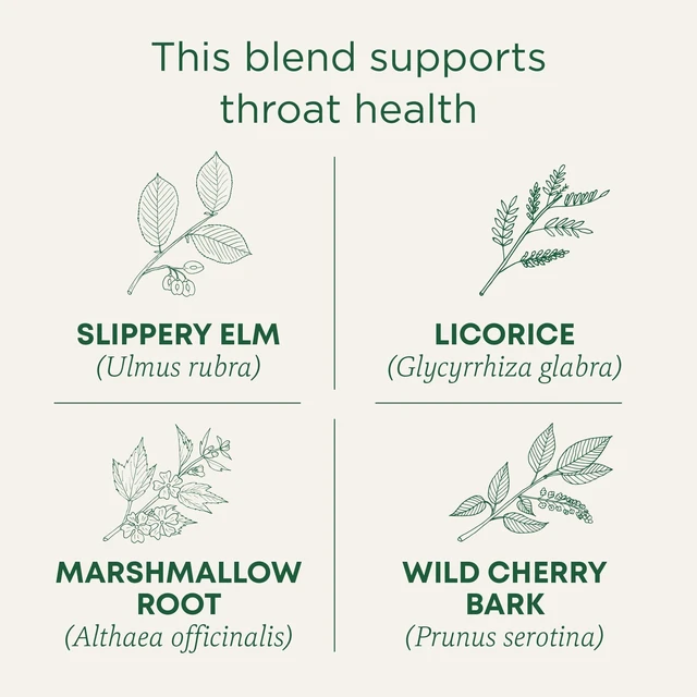 Alt view image 2 of 6 - Traditional Medicinals Organic Throat Coat Seasonal Tea, 16 Tea Bags (Pack of 1)