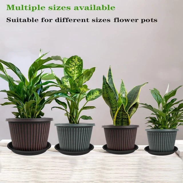 Alt view image 2 of 6 - 6 Pack Plant Saucers for Indoors, 4 5 6 7 8 9 10 11 12 13 15 17 19 inch Plant Water Catcher Tray, Heavy Sturdy Plant Drainage Tray for Indoors, Flower Saucers for Nursery Pots (5", Black)
