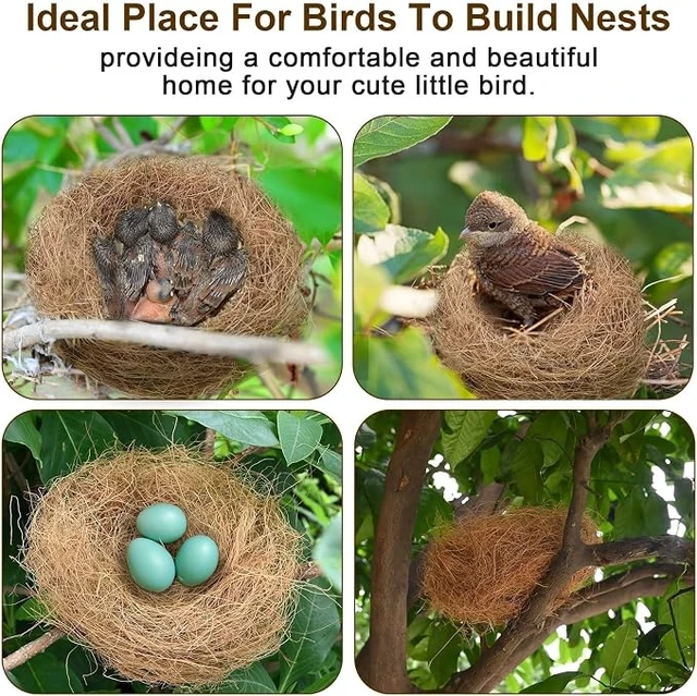 Alt view image 5 of 5 - Sukh Coconut Fiber for Bird Nest - Bird Nest Bedding for Hummingbird Finch
