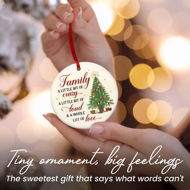 Alt view image 5 of 7 - WRAPIX Family Christmas Ornaments 2026 - Christmas Funny Gifts for Family