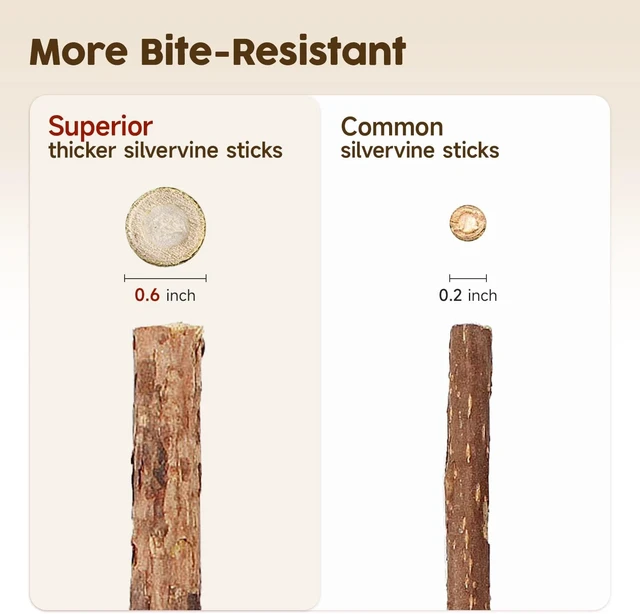 Alt view image 4 of 6 - Potaroma 3 Pack Natural Silvervine Sticks Cat Toys, Catmint Silvervine Blend Sticks, Catnip Kittens Chew Toys Teeth Cleaning, Matatabi Dental Care Cat Treat Edible Kitty Lick Toys, Package May Vary
