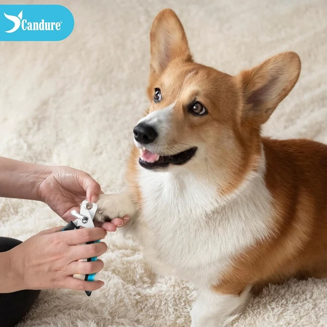 Alt view image 4 of 7 - Candure Dog Nail Clippers and Trimmer with Safety Guard to Avoid Over-Cutting Toe Nails, Professional Grooming Pet Nail Clipper with Nail File for Small, Medium & Large Breeds