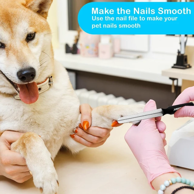 Alt view image 6 of 7 - Candure Dog Nail Clippers and Trimmer with Safety Guard to Avoid Over-Cutting Toe Nails, Professional Grooming Pet Nail Clipper with Nail File for Small, Medium & Large Breeds