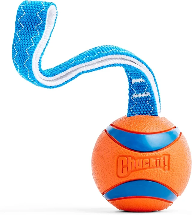 Main image of Chuckit! Ultra Tug Dog Toy, Durable Nylon Cord Handle, Large 3-in