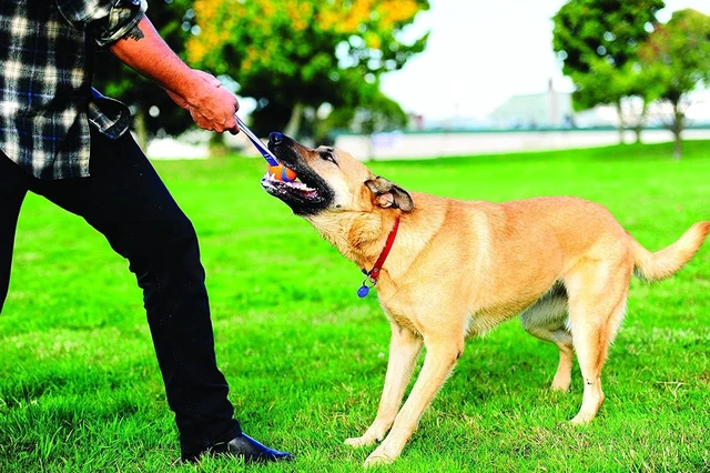 Alt view image 6 of 6 - Chuckit! Ultra Tug Dog Toy, Durable Nylon Cord Handle, Large 3-in