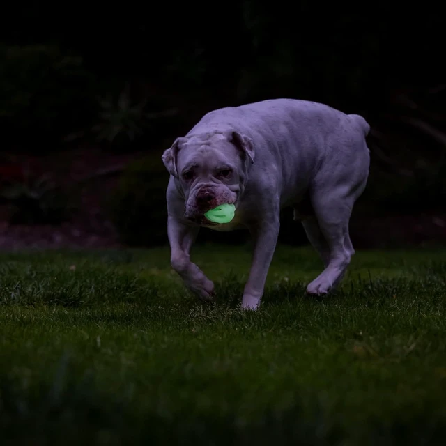 Alt view image 4 of 6 - Chuckit! Air Glow Fetch Ball Dog Toy, Medium 2.5in, 2 Pack