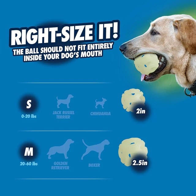 Alt view image 6 of 6 - Chuckit! Air Glow Fetch Ball Dog Toy, Medium 2.5in, 2 Pack