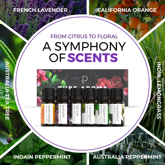 Alt view image 4 of 6 - Essential Oils Set by Pure Aroma - Top 6 Aromatherapy Oils Gift Set-6 Pack, 10ml (Eucalyptus, Lavender, Lemongrass, Sweet Orange, Peppermint, Tea Tree)