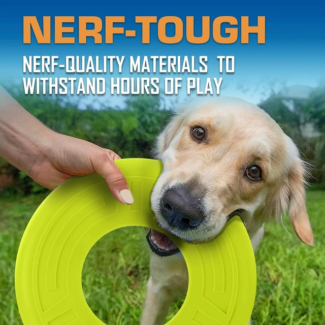Alt view image 3 of 6 - Nerf Dog Atomic Flyer Outdoor Dog Toy, 10 Inch Flying Disc Dog Fetch Toy, Rubber Dog Toy for Medium Dogs and Large Dogs, Green