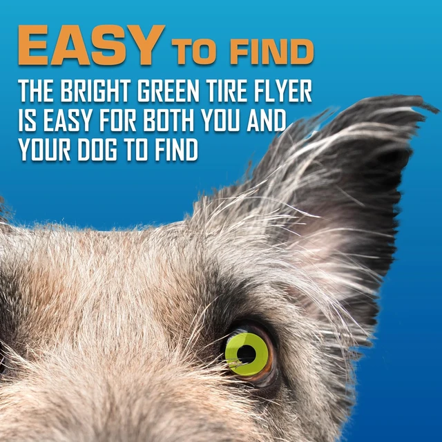 Alt view image 6 of 6 - Nerf Dog Atomic Flyer Outdoor Dog Toy, 10 Inch Flying Disc Dog Fetch Toy, Rubber Dog Toy for Medium Dogs and Large Dogs, Green