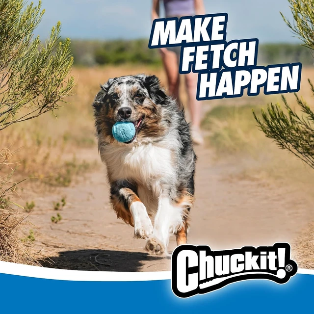 Alt view image 7 of 7 - Chuckit! Rebounce Ball Dog Toy, Medium 2.5 Inch, for Dogs 20-60 lbs, Blue
