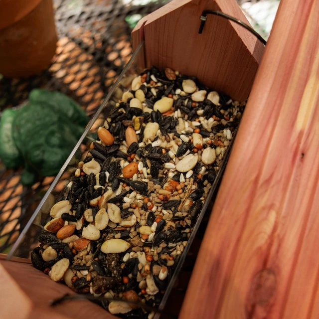 Alt view image 3 of 6 - Pennington Feeding Frenzy Woodpecker Nut & Fruit Double Nut Blend Wild Bird Food, 2.5 Pounds