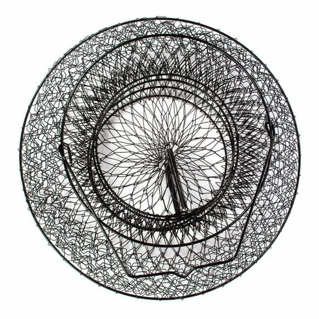 Main image of Ozark Trail 13 in Collapsible Fish Basket, Lightweight Wire Fish Keeper with Spring Loaded Trap Doors for Freshwater and Saltwater Use