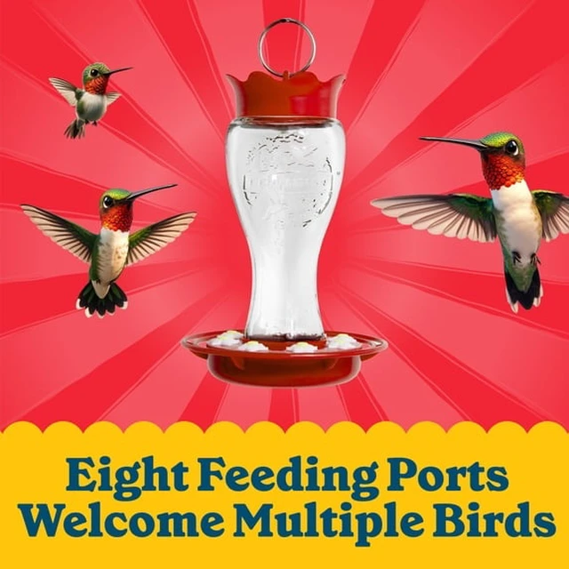 Alt view image 2 of 4 - Pennington Glass Red Hummingbird Feeder, 16 oz Nectar Capacity