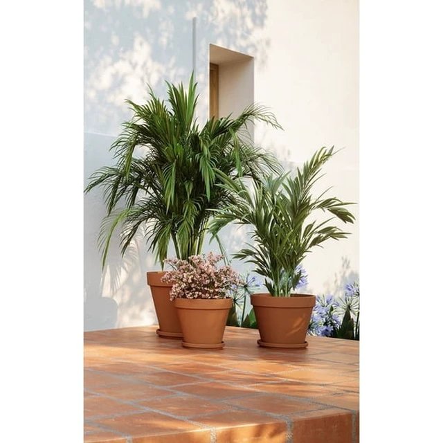 Alt view image 3 of 4 - Artevasi 8 inch Round Terracotta Clay Pot With Drainage Holes To Prevent Over Watering.