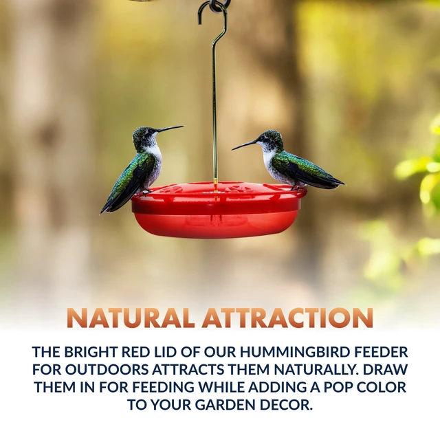 Alt view image 5 of 7 - Newhouse Pet Hummingbird Tray Feeder NHP-HUMTRY-RD, Hummingbird Feeder for Outdoors, Easy-to-Clean Leak-Proof and Ant-Proof Tray for Patio Decor or Outdoor Décor