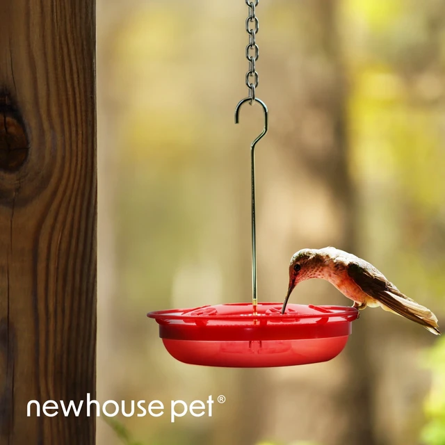 Alt view image 7 of 7 - Newhouse Pet Hummingbird Tray Feeder NHP-HUMTRY-RD, Hummingbird Feeder for Outdoors, Easy-to-Clean Leak-Proof and Ant-Proof Tray for Patio Decor or Outdoor Décor