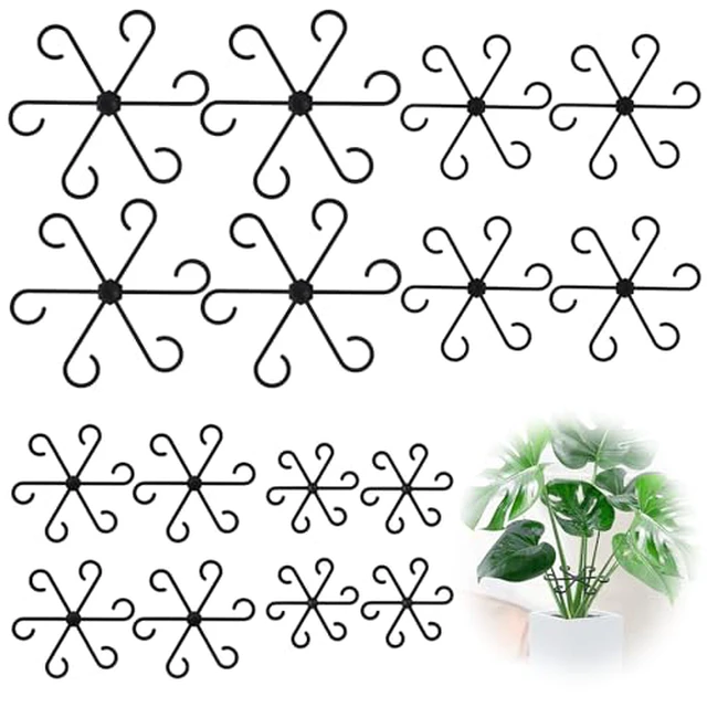 Alt view image 3 of 4 - 8PCS Plant Stem Support, Monstera Plant Support Clips for Indoor Plants