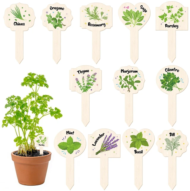 Main image of 24 Pcs Acrylic Herb Garden Signs Plant Labels Wood Grain Waterproof Reusable Plant Stake Markers Plant Tags with Names for Garden Seedlings Nursery Indoor Outdoor Permanet Labels Markers