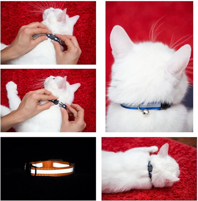 Alt view image 3 of 7 - Reflective Cat Collar with Bell, Set of 6, Solid & Safe Collars for Cats, Nylon, Mixed Colors, Pet Collar, Breakaway Cat Collar