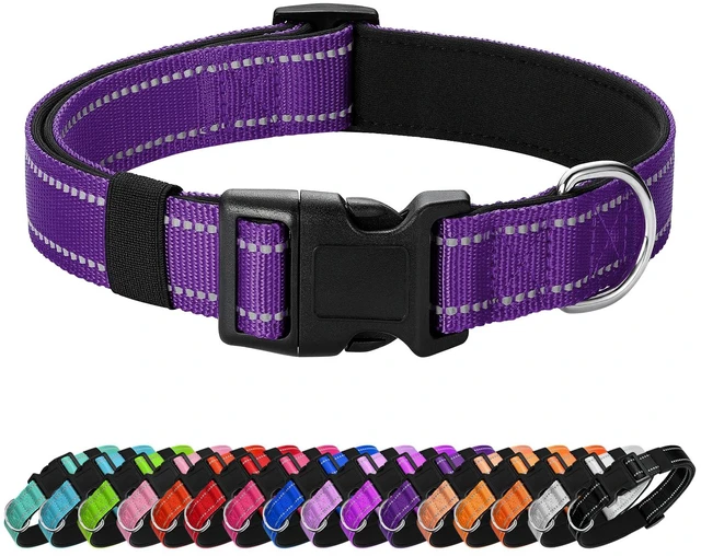 Main image of Reflective Dog Collar, Adjustable Nylon for Medium Dogs,Purple | Quick Release,Soft Neoprene Padded,Metal D-Ring