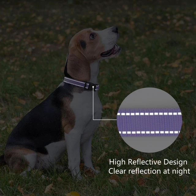 Alt view image 5 of 6 - Reflective Dog Collar, Adjustable Nylon for Medium Dogs,Purple | Quick Release,Soft Neoprene Padded,Metal D-Ring