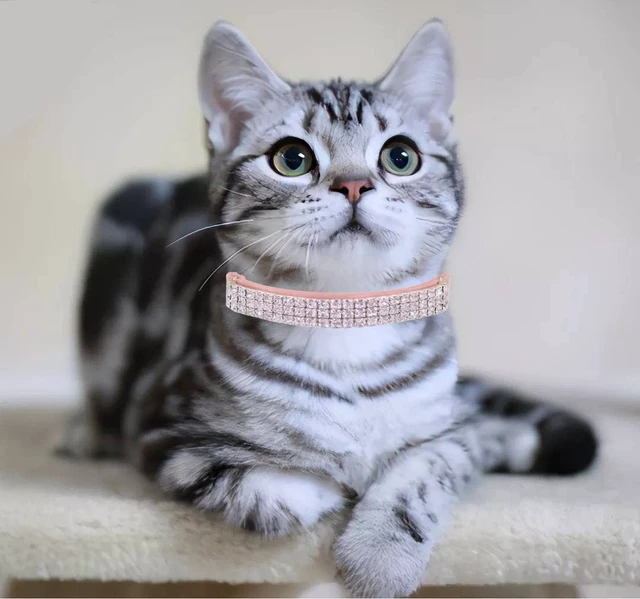 Alt view image 5 of 6 - Rhinestones Cat Dog Collar Soft Velvet Safe Adjustable Collar Bling Diamante with Bells, 8-11 inch for Small Dogs and Cats (Pink)