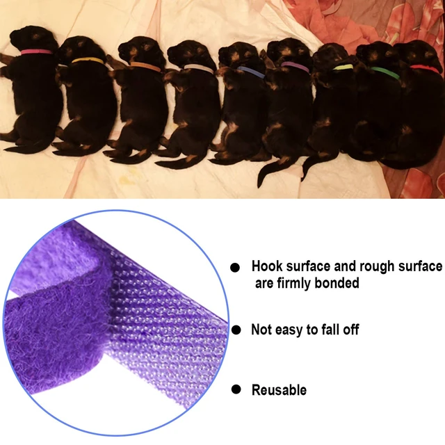 Alt view image 4 of 7 - 15 Pcs Puppy Kitten Whelping Collars, Soft Newborn Pet ID Bands | Double-Sided Soft Fabric, Newborn Puppies and Kittens, Easy Identification with 15 Colors, Adjustable Design with No Buckles