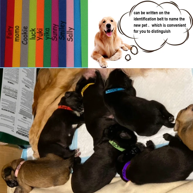 Alt view image 5 of 7 - 15 Pcs Puppy Kitten Whelping Collars, Soft Newborn Pet ID Bands | Double-Sided Soft Fabric, Newborn Puppies and Kittens, Easy Identification with 15 Colors, Adjustable Design with No Buckles