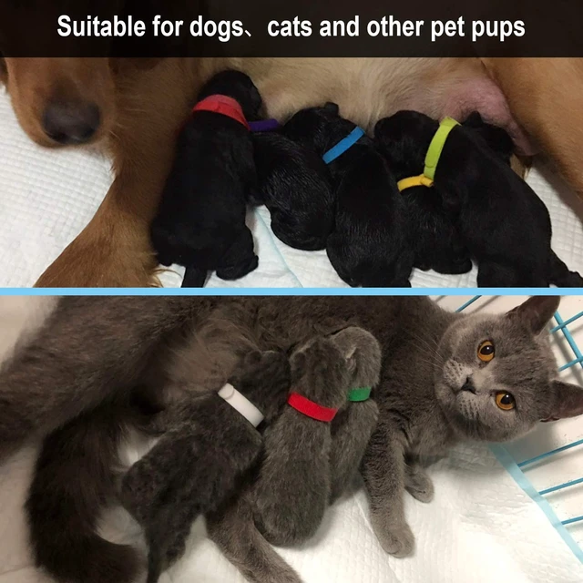 Alt view image 6 of 7 - 15 Pcs Puppy Kitten Whelping Collars, Soft Newborn Pet ID Bands | Double-Sided Soft Fabric, Newborn Puppies and Kittens, Easy Identification with 15 Colors, Adjustable Design with No Buckles