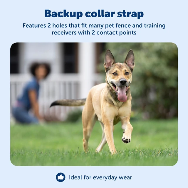 Alt view image 3 of 7 - 1 Inch Replacement Collar Strap with 2 Holes, Red | Compatible with PetSafe In-Ground Fences and Wireless Fences, Fits Neck Sizes 6-28 in