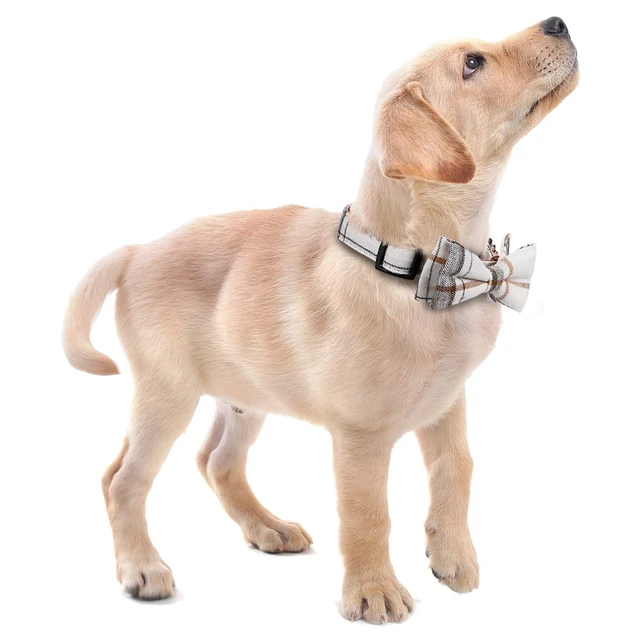 Alt view image 6 of 6 - Soft &Comfy Bowtie Dog Collar,Detachable and Adjustable Bow Tie Collar,for Small Medium Large Pet (S, Beige)